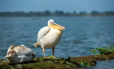 4 Days Nairobi & Rift Valley Lakes Mini Break