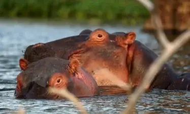 3 Days Lake Naivasha Nature & Adventure Escape